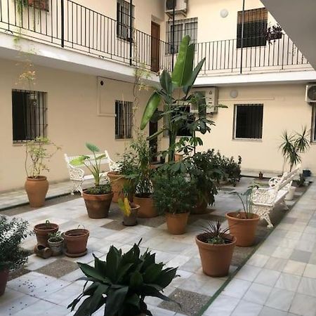 Sevilla San Bernardo Apartamento Exteriör bild
